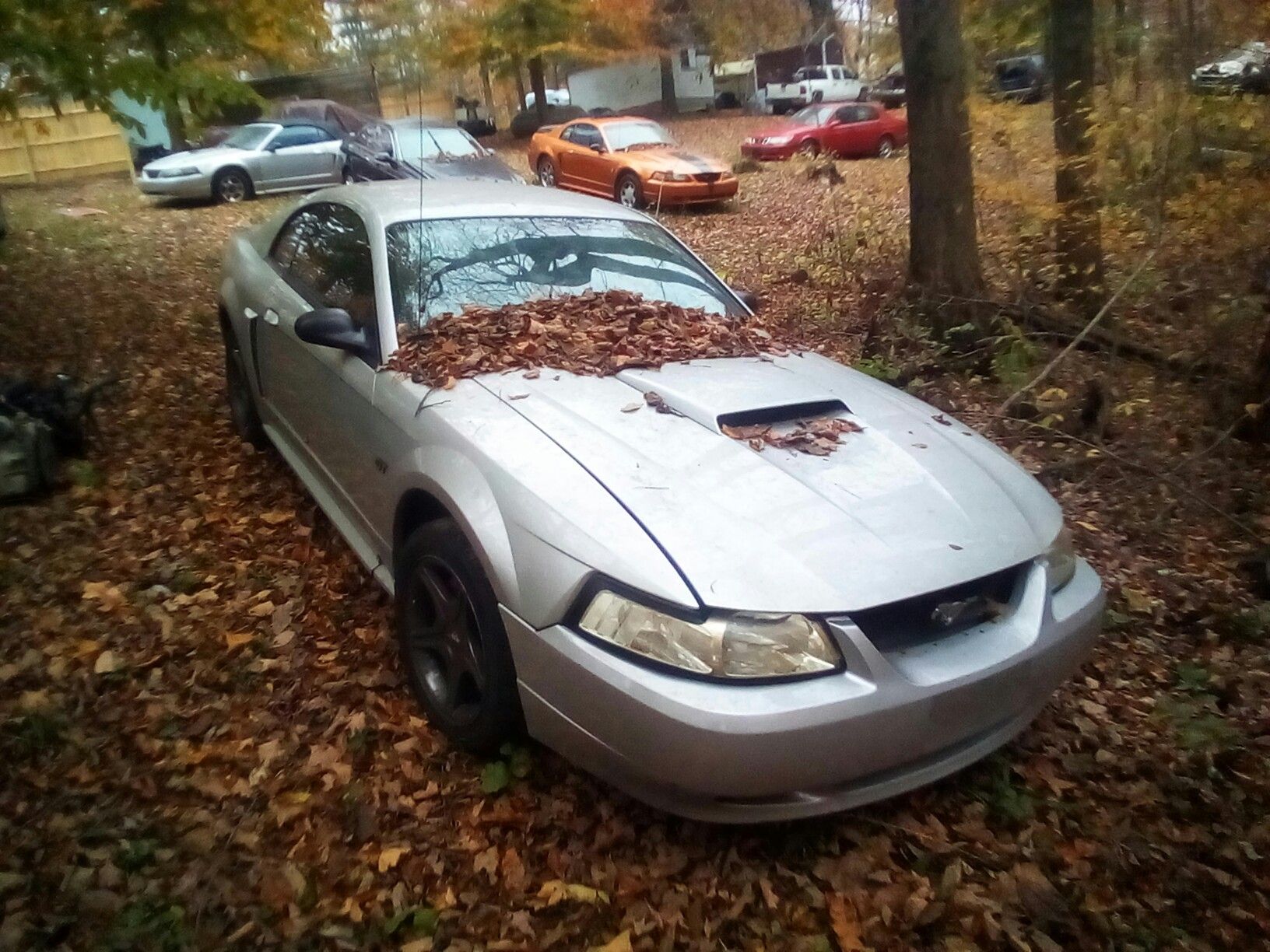 Ford parts mustang and f250 super duty parting out f-250