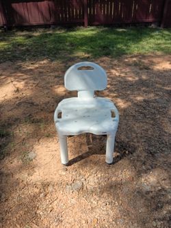 Carex Shower Chair with Back