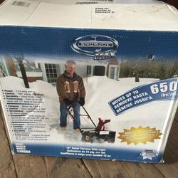 Snow joe max electric snowblower with box