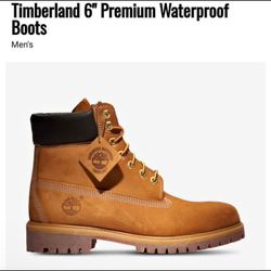 Timberland Boots 
