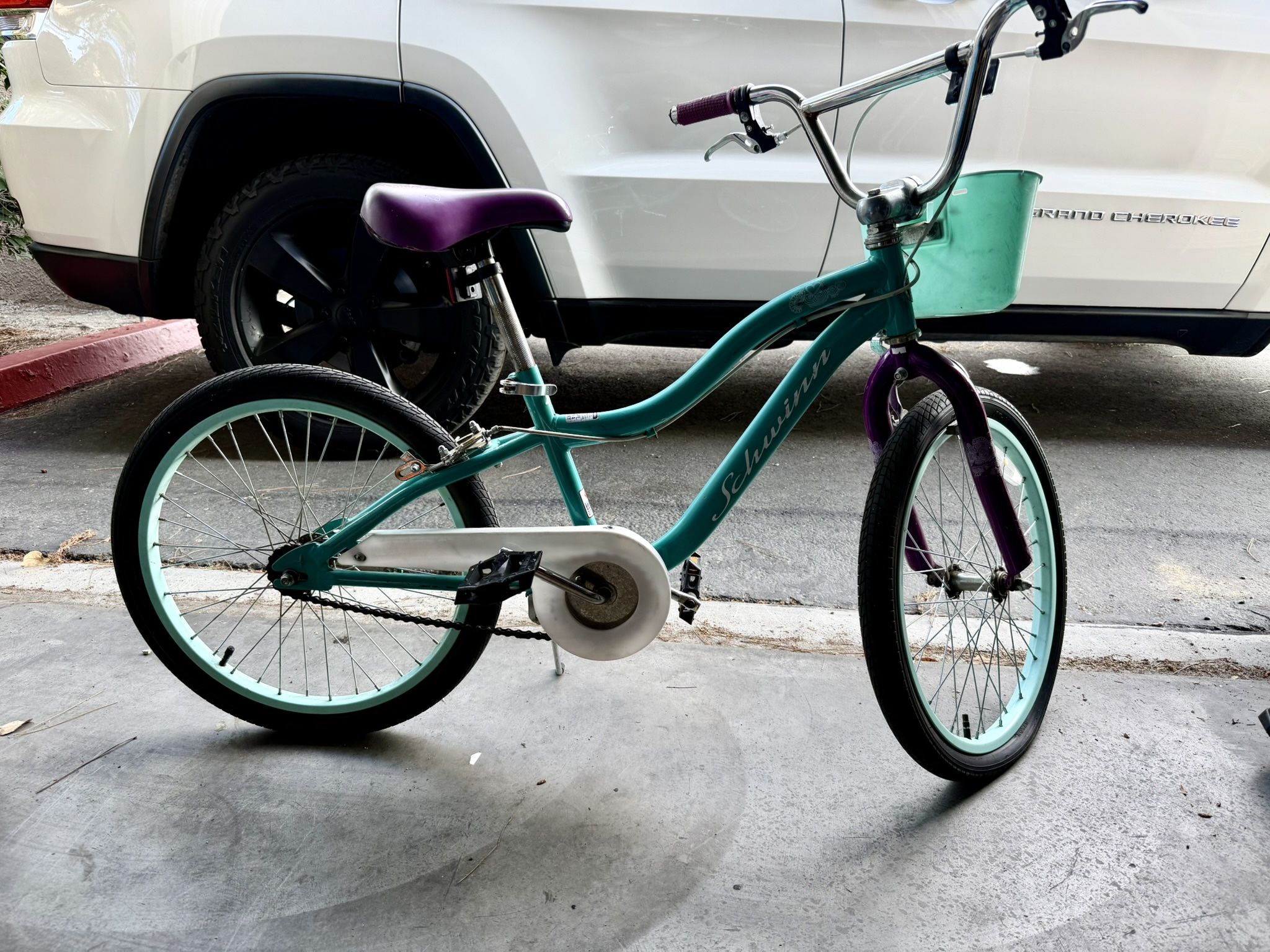 Schwinn Kids Bike