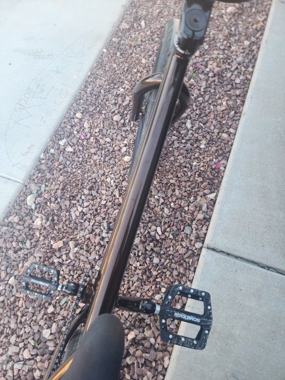 2024 STLN SINNER XLT