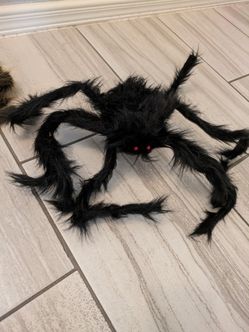 4 Giant Spiders