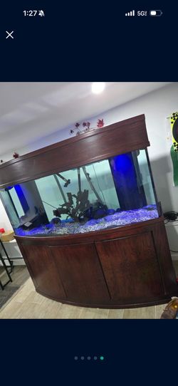 185 Gallon Tank