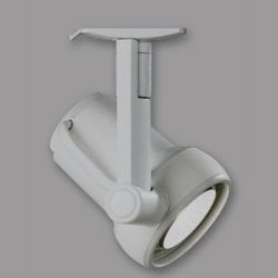 Track Light head lightolier