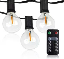 Newhouse Lighting LED Outdoor 50 ft. Plug-In Globe Bulb String Light with 50 Sockets and 100-Watt Dimmer, Remote Control and 5-Extra Bulbs