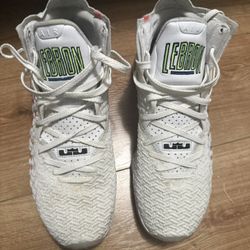 Lebron 2017 Air Command 