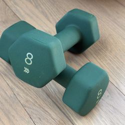 Pair Of 8 lb Hand Weights