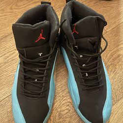Air Jordan 12 Basketball Shoes