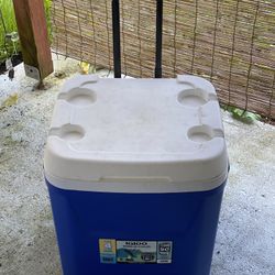 Igloo Cooler 
