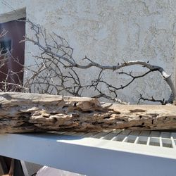 Natural Driftwood Terraniums Aquarium Reptile Habitat 