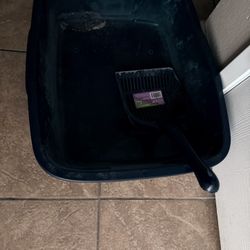 free litter box used once 