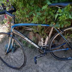 Raleigh Bike 