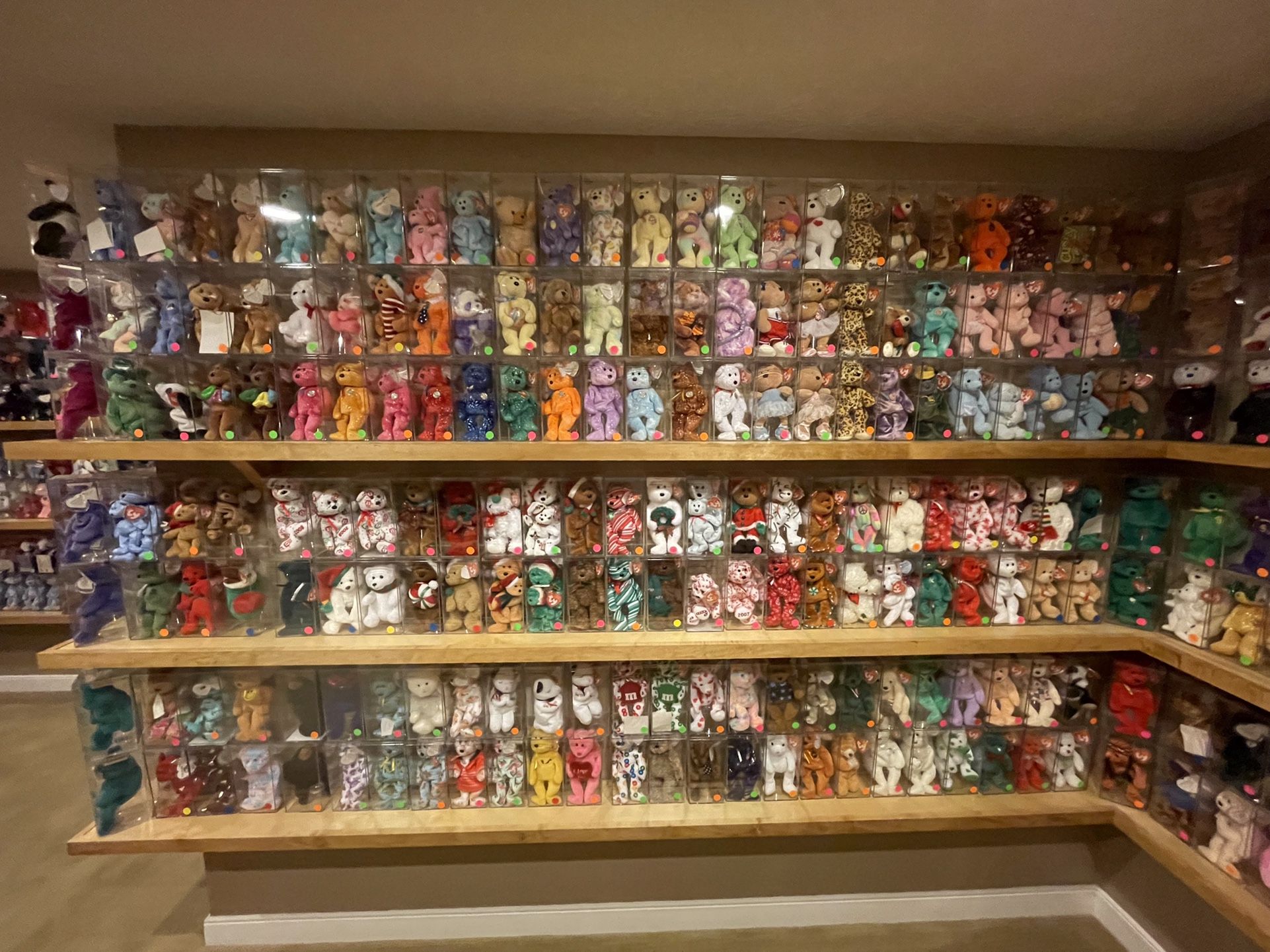 World’s Largest Private Beanie Baby Collection for Sale in Aurora, OH ...