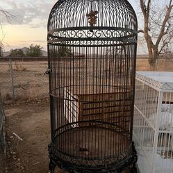 Large Cages 