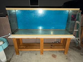 Fish tank aquarium