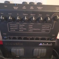 Acoustic Guitar  Multiple Delay Sound  Box