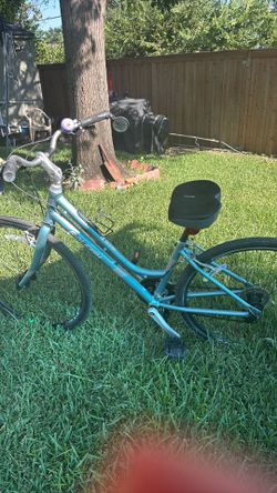 Raleigh bike