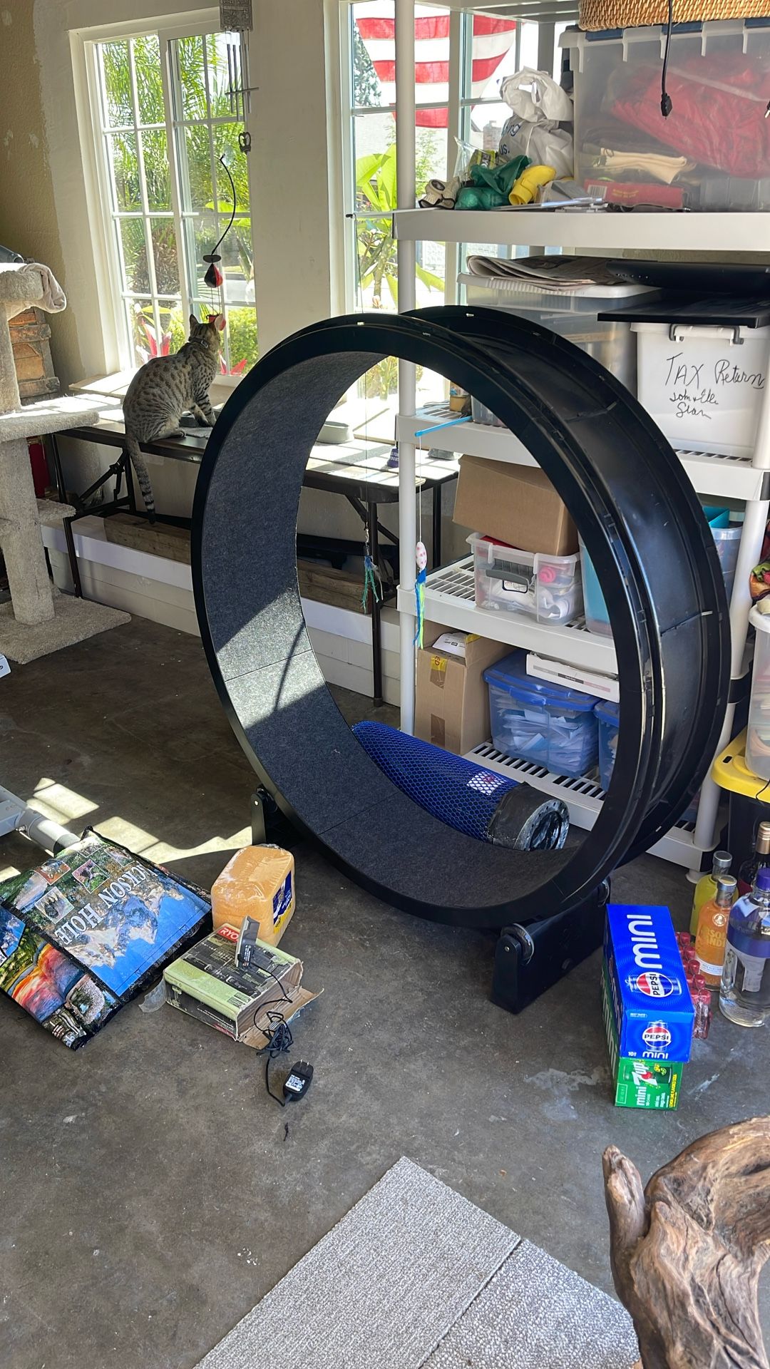 Cat Exercise Wheel- New