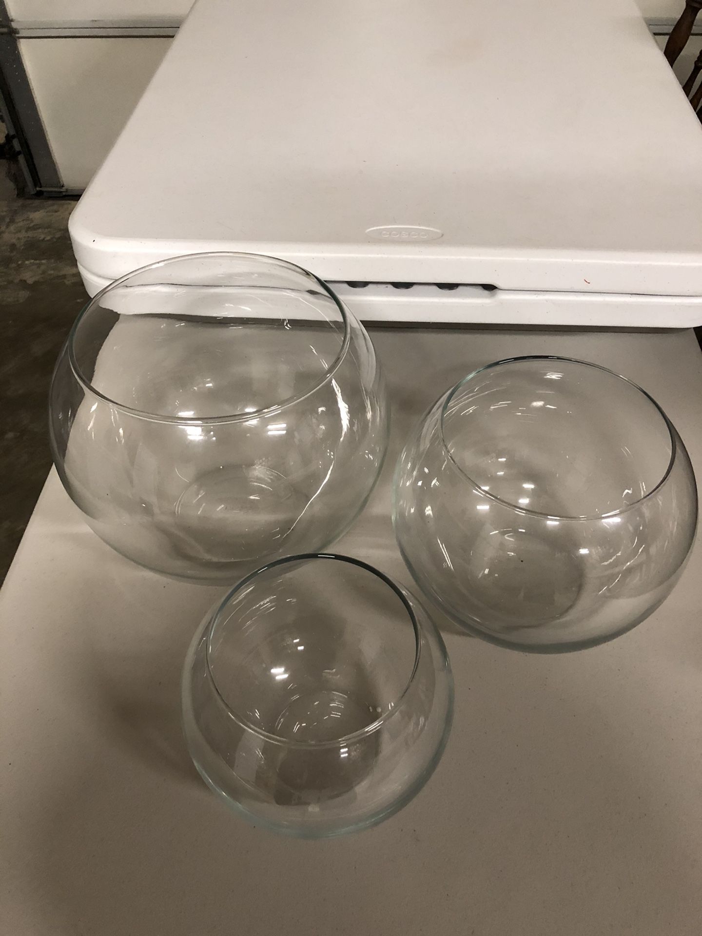 3 Fish Bowls / Doctorative Bowls