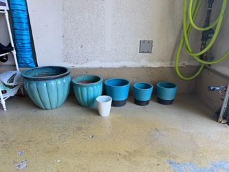 Flower Pots ($15 for lot)