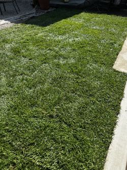 Marathon Sod Installation