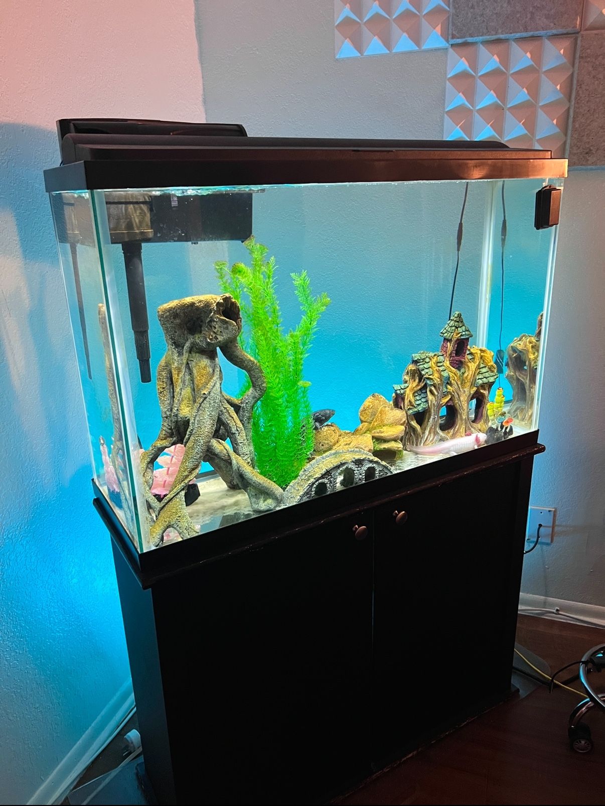 75 Gallon Fish Tank