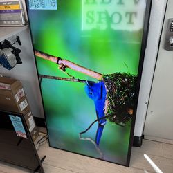 Sony 65 inch 4K QLED Bravia2 II TV