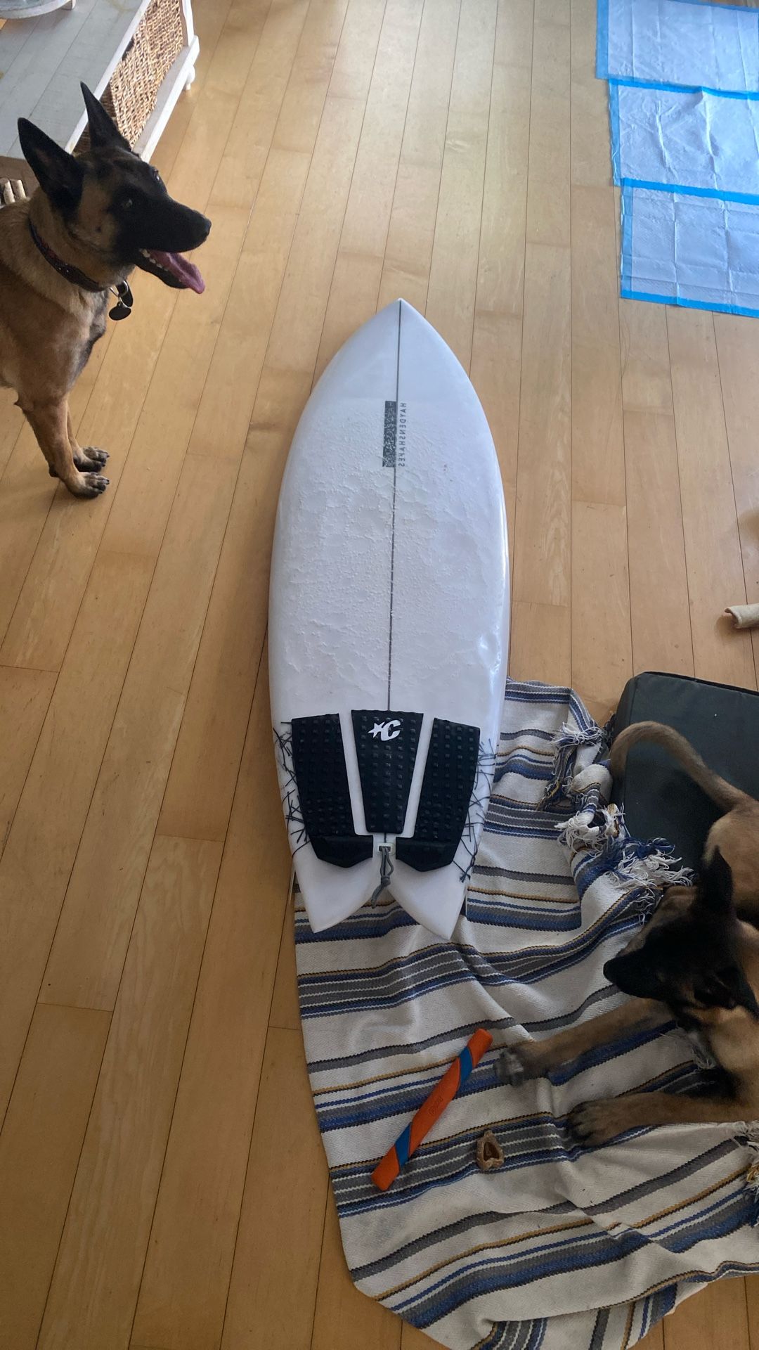 Surfboard