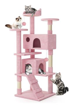 Cat house