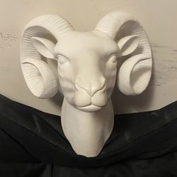 Cabeza De Borrego Y Cuadro De Madera