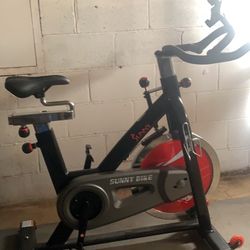 sunny spin bike and accsessories 