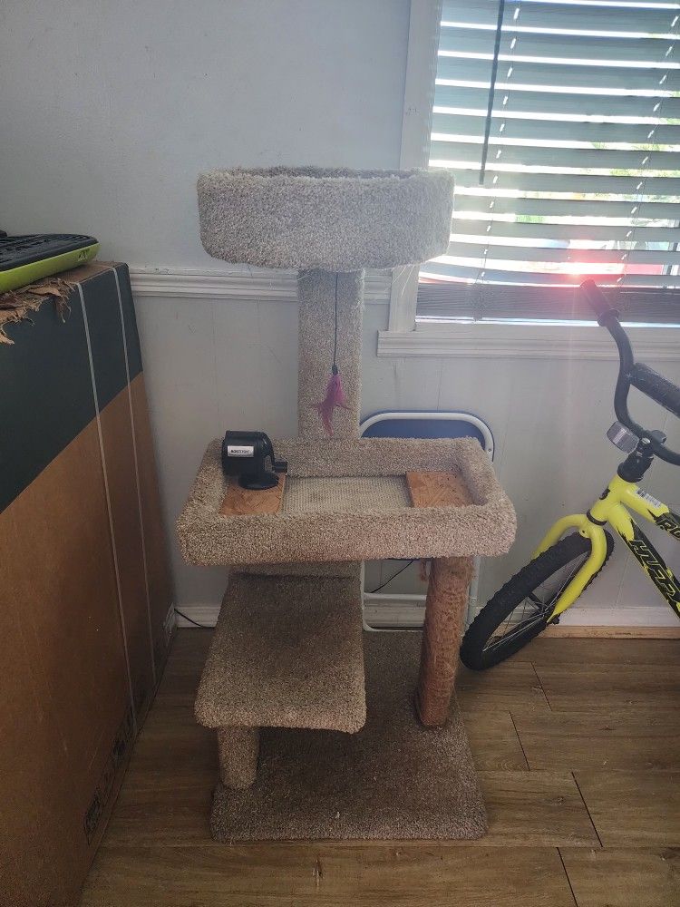 Cat Tree