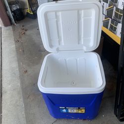 Igloo Cooler