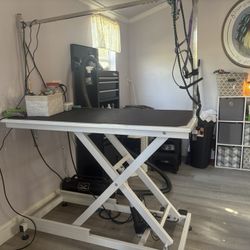 Grooming Table Electric Almost New