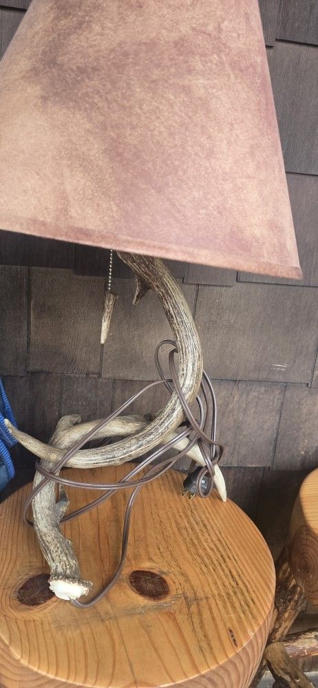 Antler Lamp