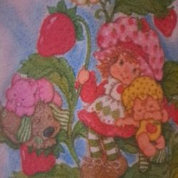 Vintage Colkectible Strawberry Shortcake Nightgown