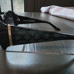 Ferragamo Sunnies 