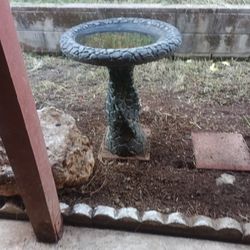 Bird Bath
