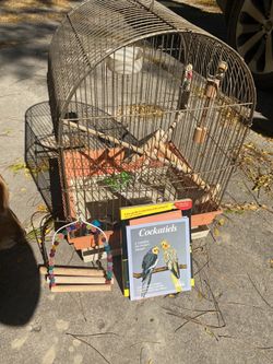 Cockatiel Cage And Accessories 