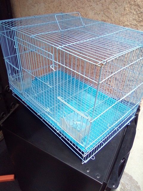 Cage For Bird