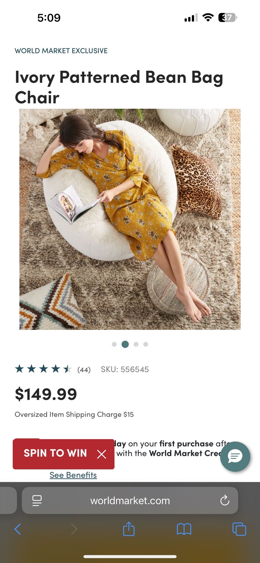 World Market White bean bag chair