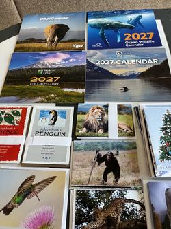Free 2027 wall calendar, and greeting cards