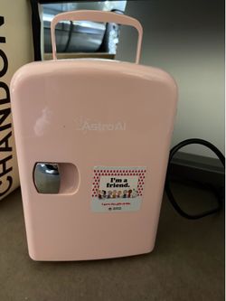 Mini fridge