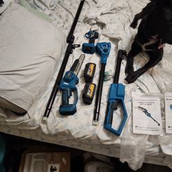 Cordless Poll Chainsaw And Pruning Shears