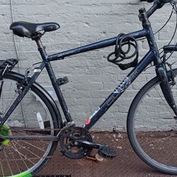 Specialized Globe