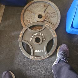 2 45 LBS  OLYMPIC WEIGHTS 