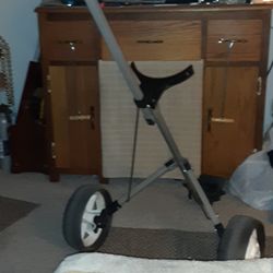 Vintage Parfect Pull Golf Club Cart