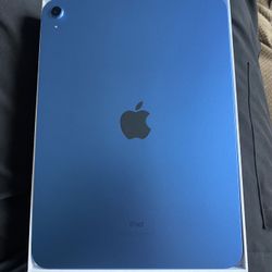 Bearly Bought 10th Gen iPad And New Air Pods 