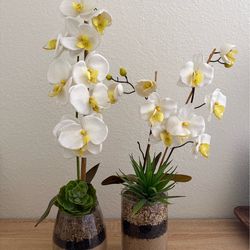 Faux Flowers in vase